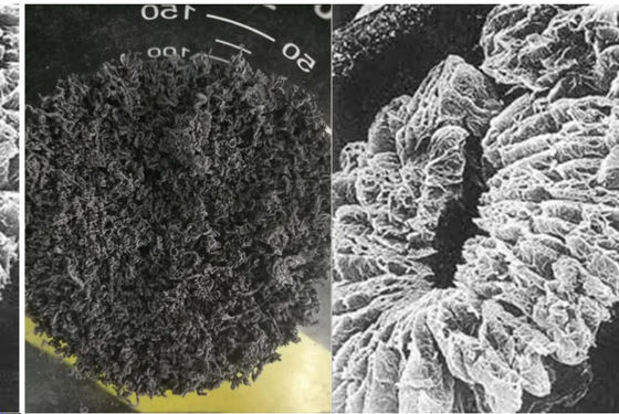 Produsen Cina +80 Mesh +100 Mesh Karbon Tinggi 98% Natural Expanded Graphite Digunakan dalam Mesin