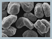 Baterai Li-Ion Hensen Graphite Anode Material Kemurnian Tinggi